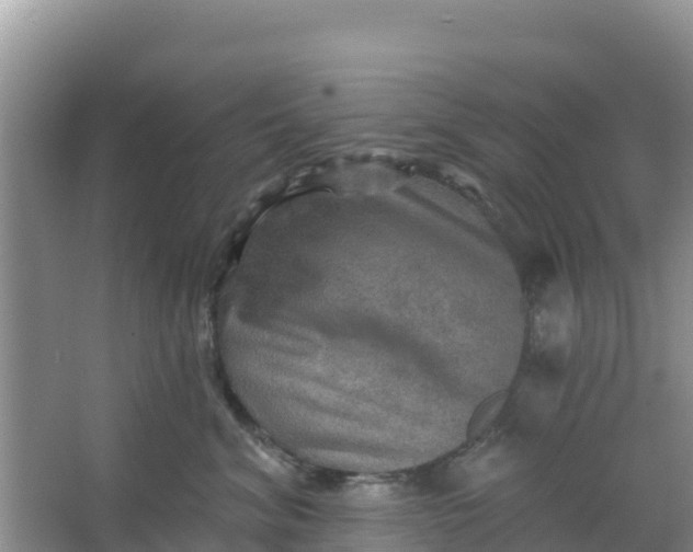 X0000066950620200604071940