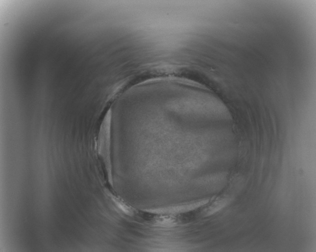 X0000066950624200604071940