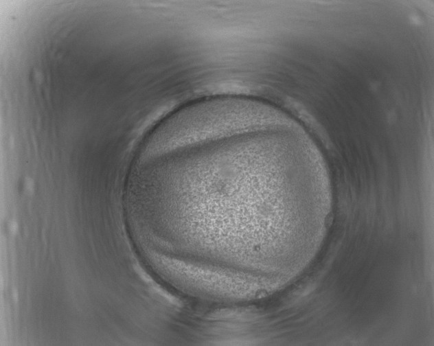 X0000066950625200604071939