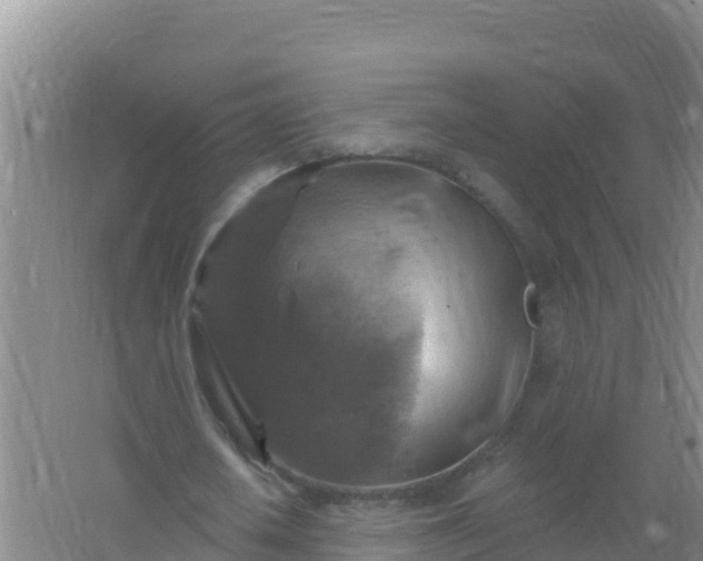 X0000066950626200604071939