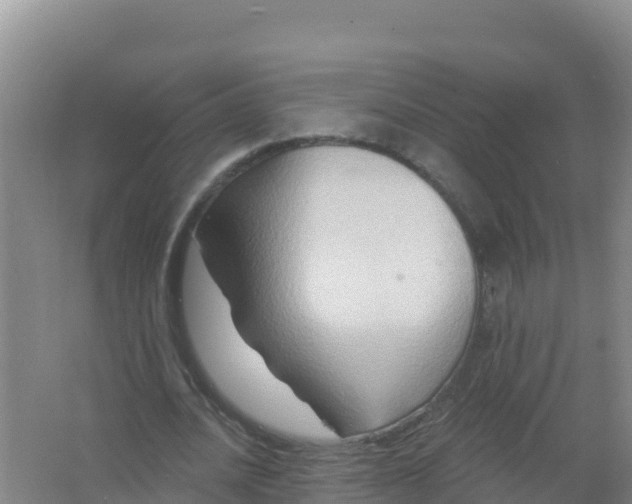 X0000066950628200604071939