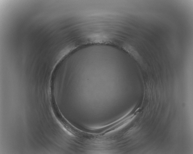 X0000066950630200604071939