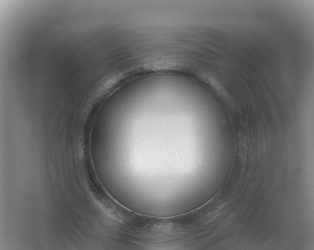 X0000066950631200604071939