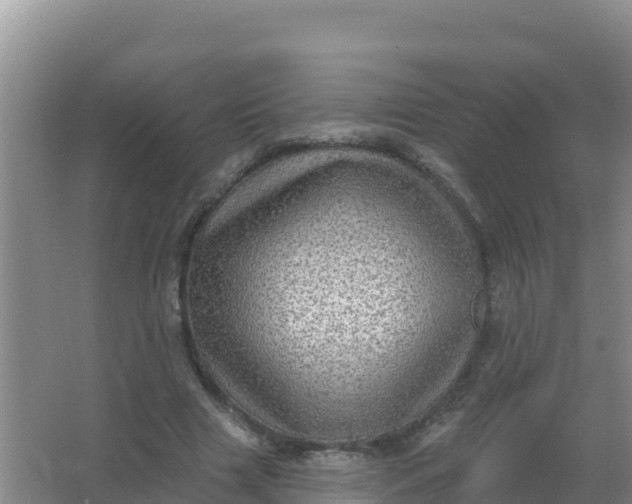 X0000066950633200604071939