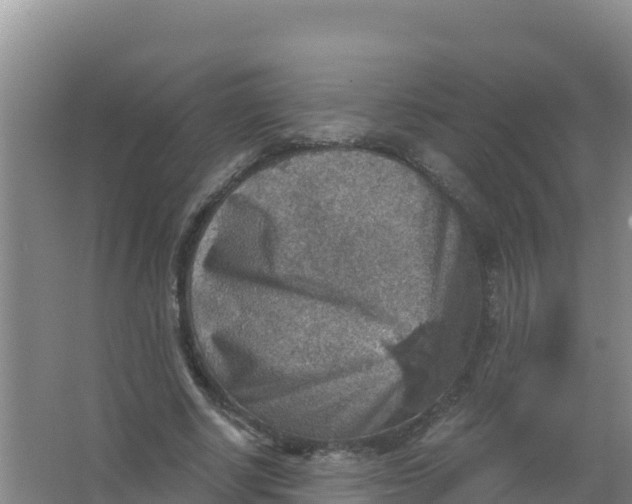 X0000066950634200604071939