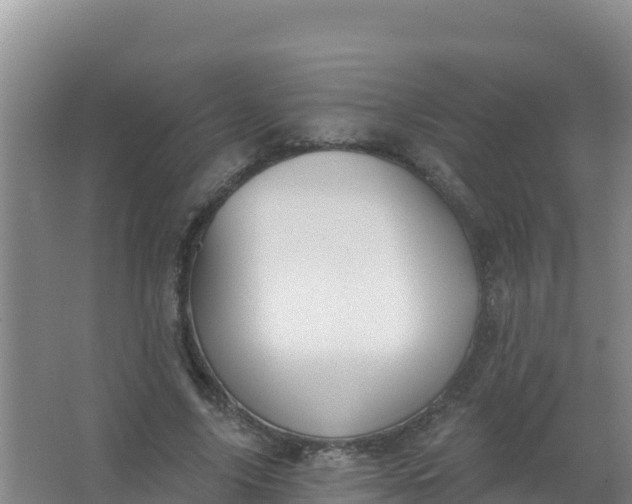 X0000066950635200604071939