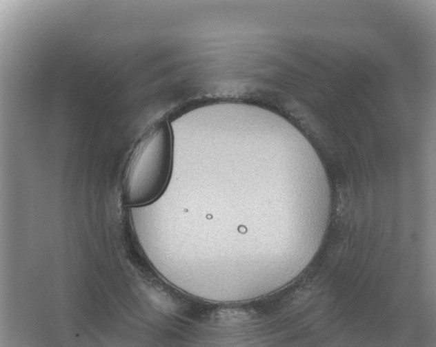 X0000066950636200604071939