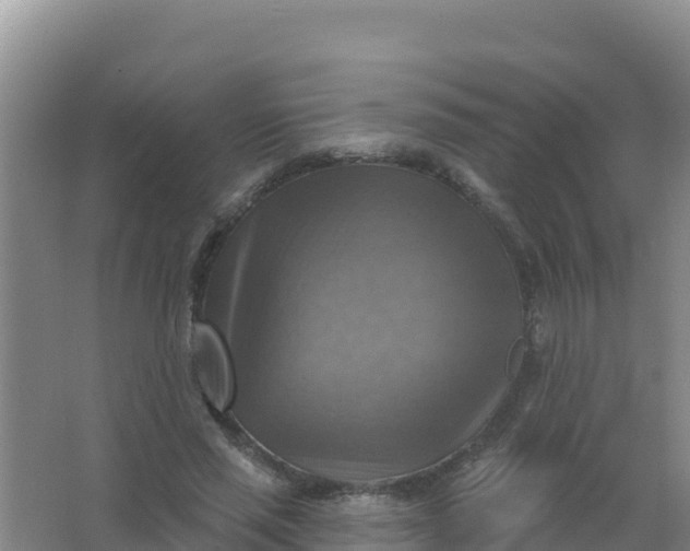 X0000066950637200604071939