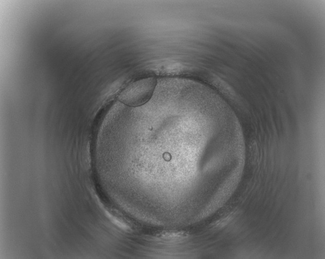 X0000066950638200604071939