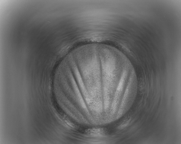 X0000066950639200604071939