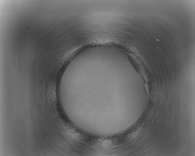 X0000066950640200604071939