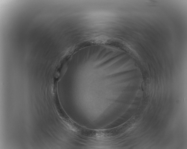 X0000066950641200604071939