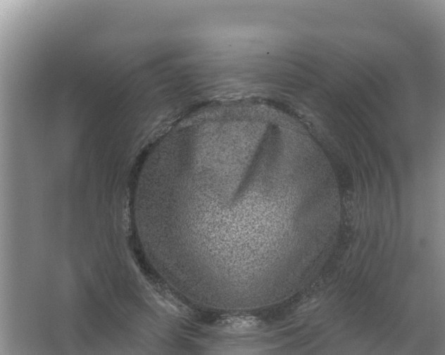 X0000066950642200604071939