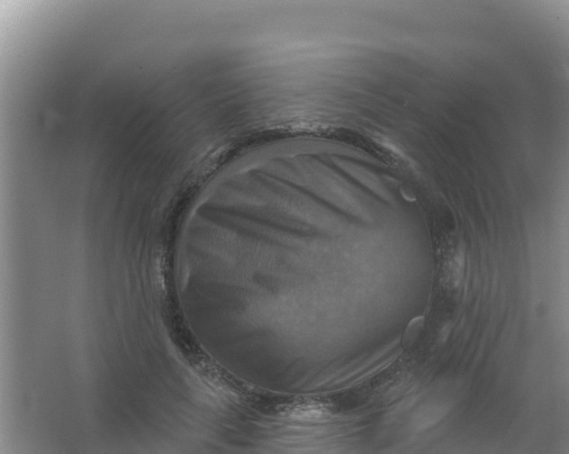 X0000066950643200604071939