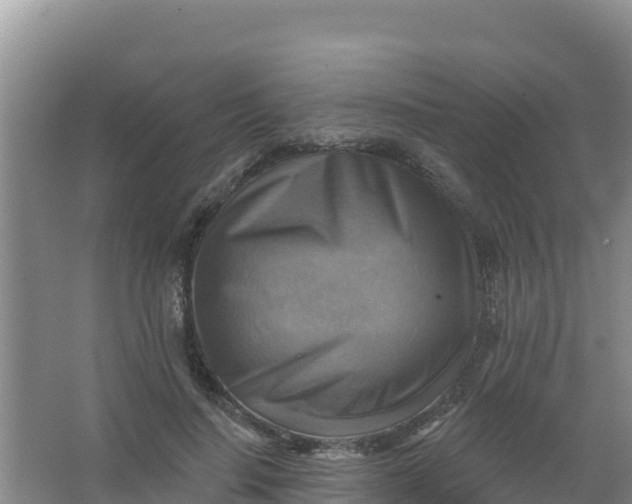 X0000066950644200604071939