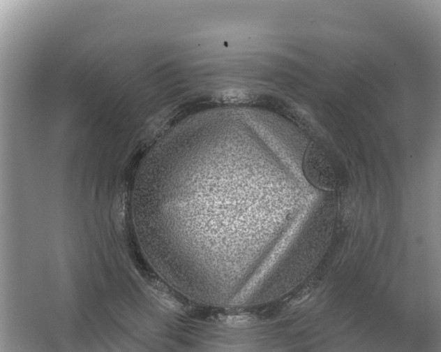 X0000066950645200604071939