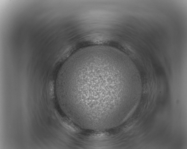 X0000066950646200604071939