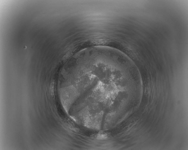 X0000066950647200604071939