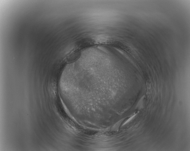 X0000066950648200604071939