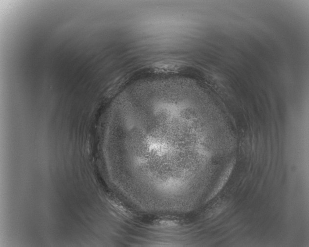 X0000066950649200604071939