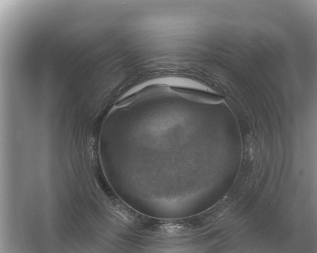 X0000066950650200604071939