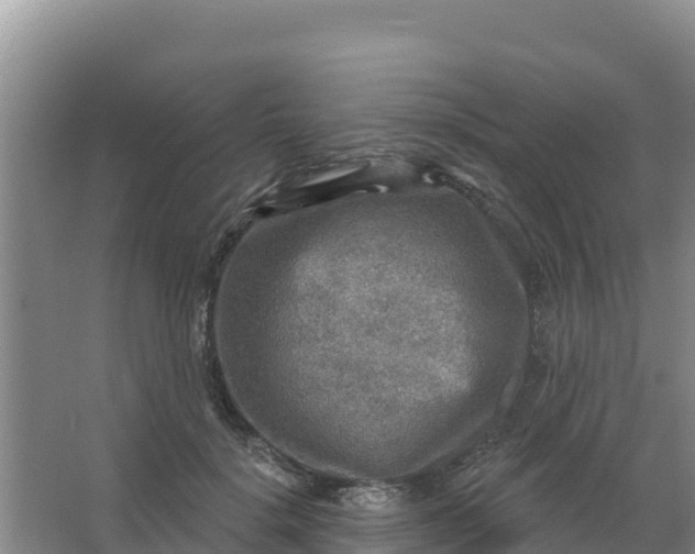 X0000066950652200604071939