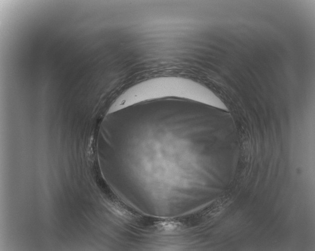 X0000066950654200604071939