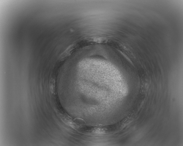 X0000066950656200604071940