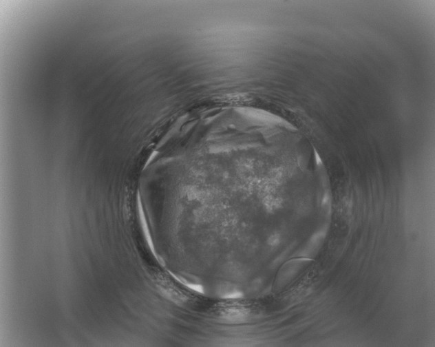 X0000066950658200604071940