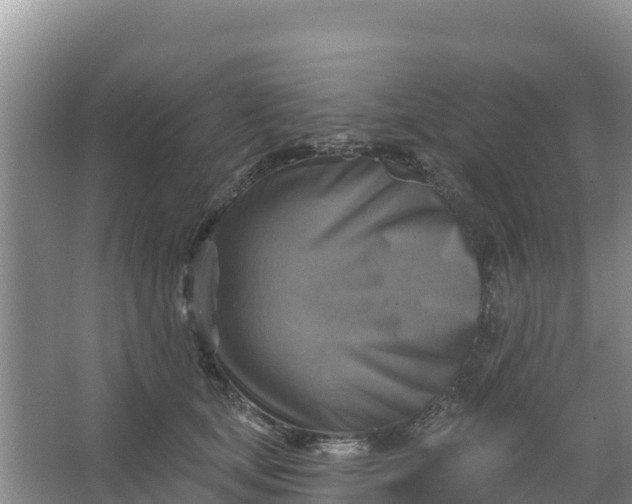 X0000066950659200604071940