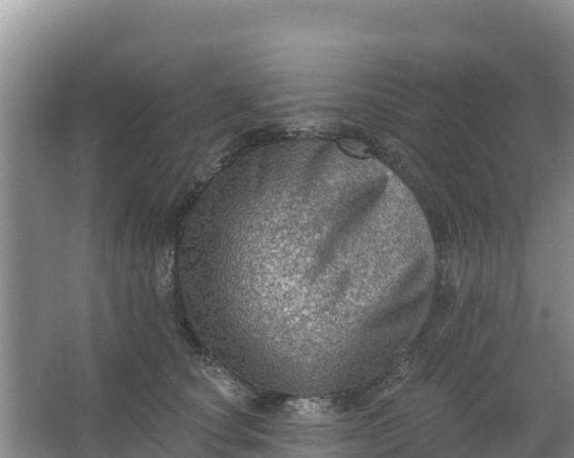 X0000066950660200604071940