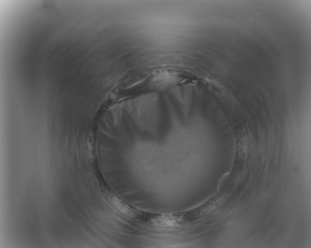 X0000066950661200604071940