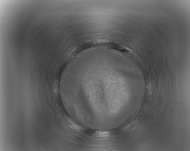 X0000066950665200604071940