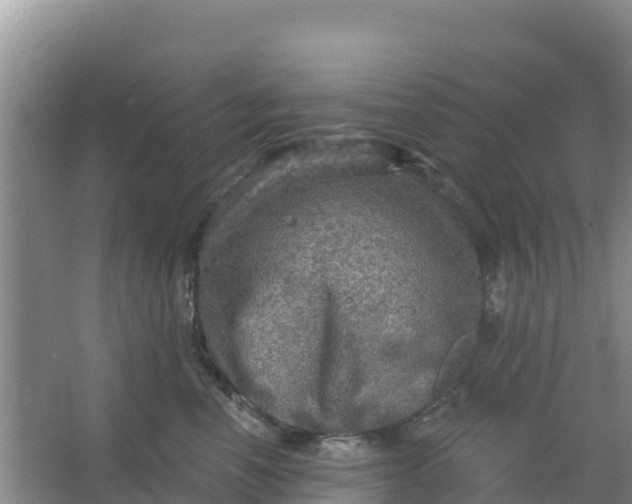 X0000066950666200604071940