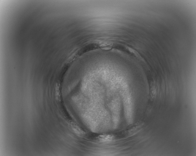 X0000066950667200604071940