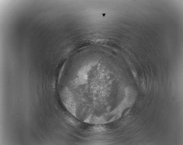 X0000066950668200604071940