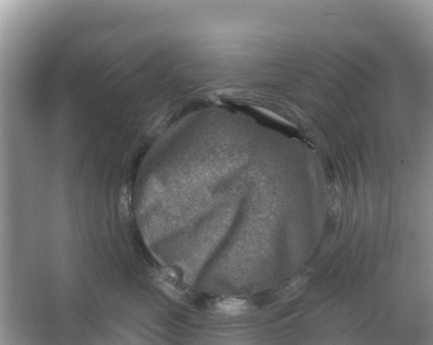 X0000066950669200604071940