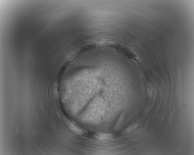 X0000066950670200604071940