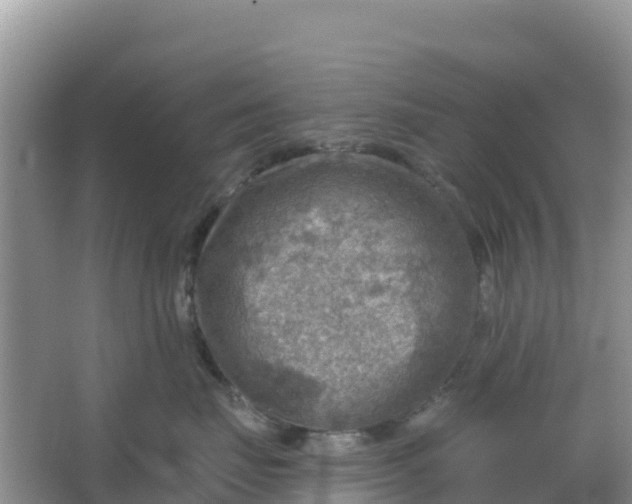 X0000066950671200604071940