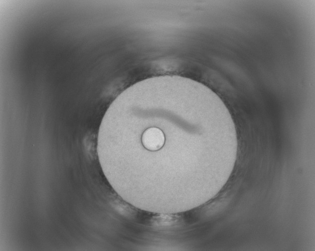 X0000066950672200604071940