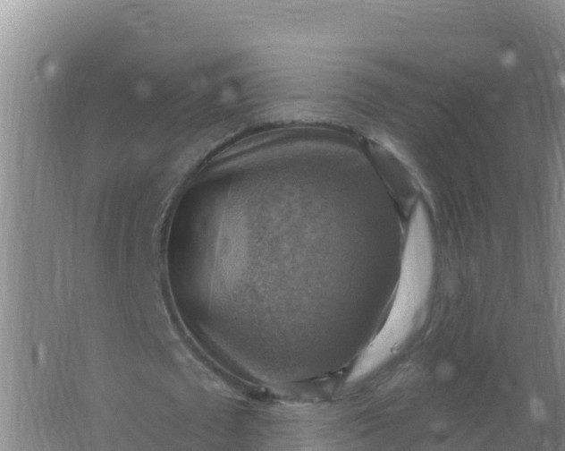 X0000066950673200604071939