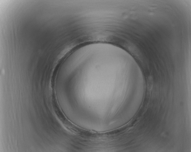 X0000066950674200604071939