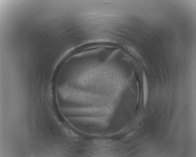 X0000066950676200604071939