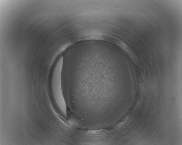 X0000066950677200604071939