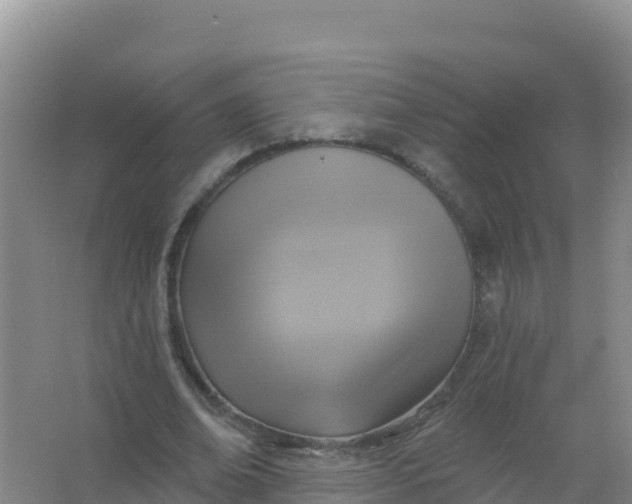 X0000066950678200604071939