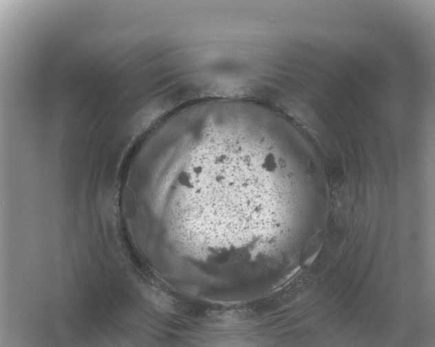 X0000066950679200604071939