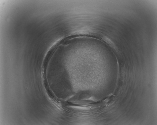 X0000066950680200604071939