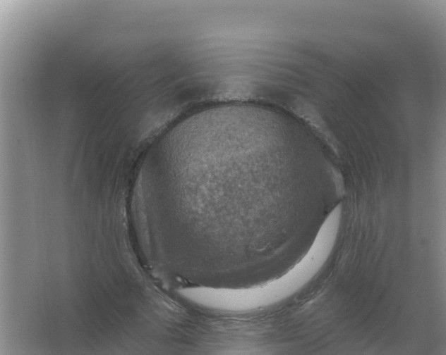 X0000066950681200604071939