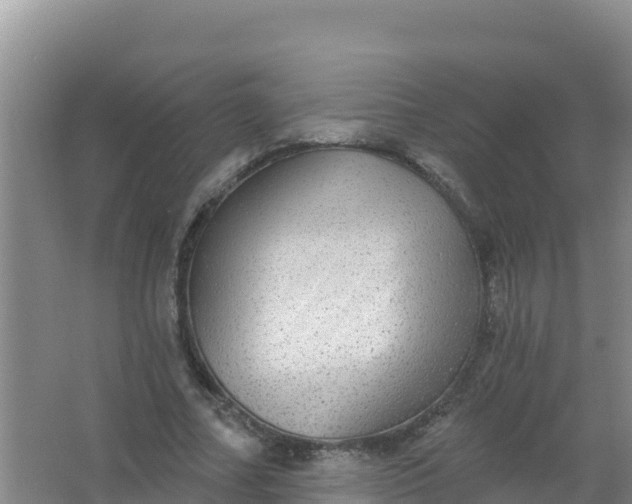 X0000066950682200604071939