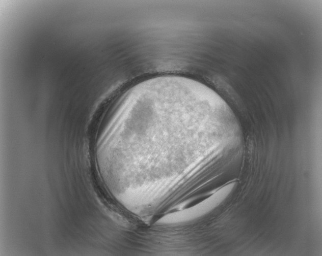 X0000066950684200604071939